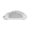 Trust Ozaa mouse Right-hand RF Wireless + Bluetooth Optical 3200 DPI