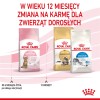 Royal Canin Kitten Sterilised cats dry food 3.5 kg Poultry