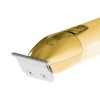 Adler | Professional Trimmer | AD 2836g | Cordless | Number of length steps 1 | Gold