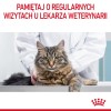 ROYAL CANIN Hairball Care Wet cat food Chunks in sauce 12x85 g