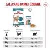 ROYAL CANIN Ageing 11+ - dry cat food - 2kg