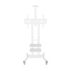 TV SET ACC MOBILE STAND/50-86