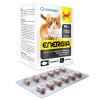 EUROWET Wita-Vet Energia - supplements for cats - 120 tablets