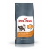 ROYAL CANIN Hair&Skin Care Adult - dry cat food - 400g