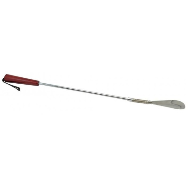 Shoehorn - flexible tip