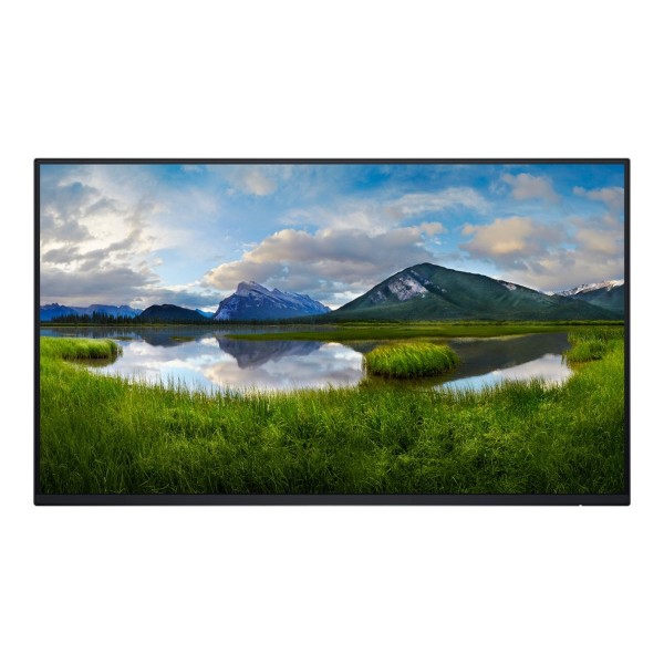 LCD Monitor|DELL|P2425HE WOST|23.8