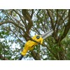 Stanley Cordless chainsaw SFMCPS720M1-QW, 18 V, 20 cm
