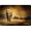 Esperanza EA133 mouse pad Multicolor