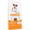 IAMS for Vitality Adult Small & Medium - dry dog ​​food - 12 kg