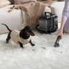 VACUUM CLEANER/N10 CARPET CLEANER DREAME