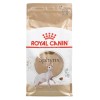 Royal Canin Sphynx dry cat food 2 kg