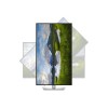 Dell LCD P3225QE 32
