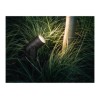 Philips Hue WCA Lily Outdoor Spot Light Extension 24V | 8 W | 2000-6500 Hue White Colour Ambiance