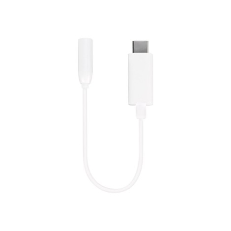 Vivanco adapter USB-C- 3,5mm 10cm (61764) | Vivanco
