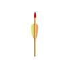 Poe Lang Target Wooden 30" D-027A-B1 Wooden arrows 5 pcs