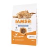 IAMS Advanced Nutrition Light/Sterilised - dry cat food - 10 kg