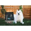 ADDVENA Taste Sensations Adult Medium/Large Turkey - dry dog food - 10kg