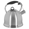 MAESTRO MR-1334 non-electric kettle