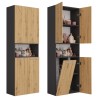 Topeshop NEL 1K DK ANT/ART KP bathroom storage cabinet Graphite, Oak