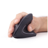 MOUSE USB OPTICAL WRL BLACK/ERGONOMIC MUSW-ERGO-01 GEMBIRD