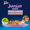 Felix Fantastic jelly food for kittens in jelly beef, chicken, salmon, sardine - 12x 85 g