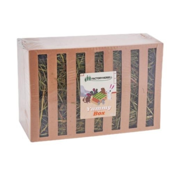 FACTORYHERBS Yummy Box - feeder with ...