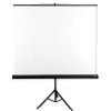 Avtek Tripod Standard 200 projection screen 1:1