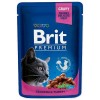 BRIT Cat Pouches Family Plate - wet cat food - 12 x 100g