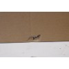 SALE OUT. Epson Wall Mount - ELPMB62 / MARKS ON GUIDE, WHITE PAINT MARKS | Epson DAMAGED PACKAGING