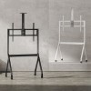 Maclean TV stand / cart, camera shelf, on casters, 55-100", max load 120kg/10kg shelf, max. VESA 900x600, white, MC-114 W