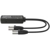Turtle 2CH Analog XLR Output Dante Adapter - Adapter Dante
