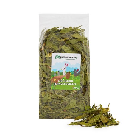 FACTORY HERBS Ribwort plantain leaves - treat for rodents and rabbits - 100g