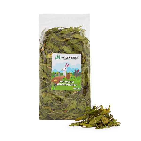 FACTORY HERBS Ribwort plantain leaves - ...