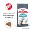 Royal Canin Hairball Care dry cat food 2 kg