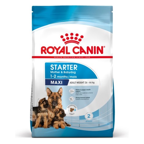 ROYAL CANIN SHN Maxi Starter Mother & Babydog - dry dog food - 4 kg