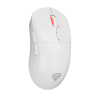 Genesis Zircon XIII Custom | Wireless | Gaming Mouse | 2.4 GHz, USB | White