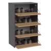 Topeshop MODO X2 ANT/ART shoe organizer Closed Anthracite, Oak