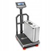 Waga Platformowa WAGI TARCZYN WT-180N 150kg