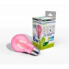 Light Bulb|VISIONAL|Power consumption 8 Watts|Beam angle 360 degrees|04-219