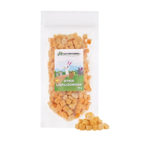 FACTORY HERBS Freeze-dried pumpkin - treat for rodents and rabbits - 10g