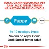 Royal Canin SHN Breed Jack Russell Junior - Dry dog food Poultry,Rice - 3 kg