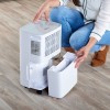 Taurus Pleasant 12l dehumidifier