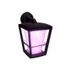 Philips Hue WCA Econic Outdoor Wall Lantern | 15 W | 2000-6500 Hue White Colour Ambiance