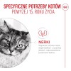 ROYAL CANIN Ageing 15+ - dry cat food - 4kg