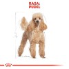 Royal Canin Poodle Adult 1.5 kg