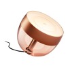 Philips Hue|Hue Iris Portable Lamp, Copper Special Edition|Copper/brass|Portable lamp