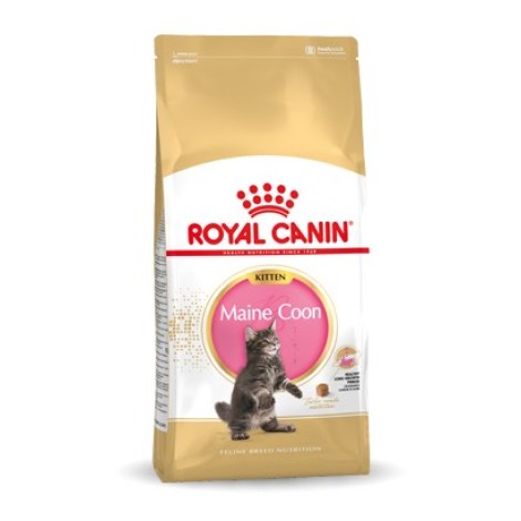 Royal Canin Maine Coon Kitten dry cat food 10 kg