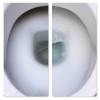 Frischer toilet cleaner 1l