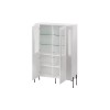 Cama VERA display cabinet 110x40x160 matt white