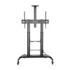 GEMBIRD Height adjustable TV floor stand